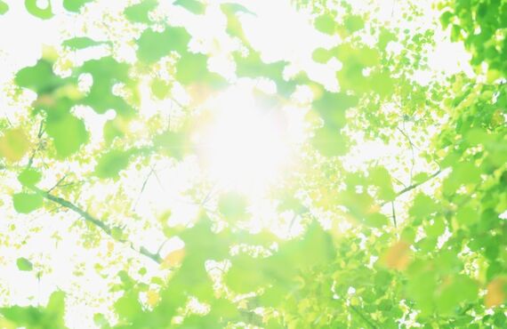 横浜市で屋根板金、塗装をお探しの方。見積無料！